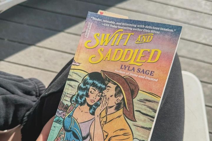 cowboy romance books