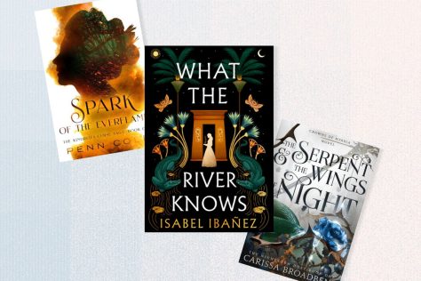 kindle unlimited fantasy books