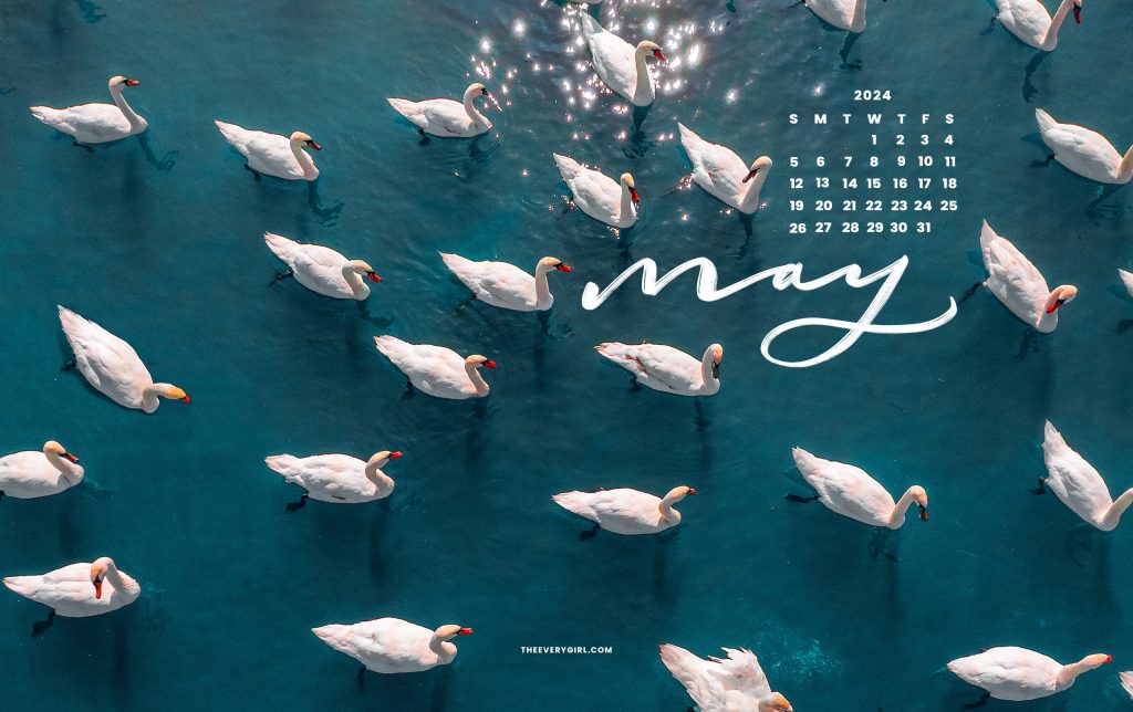 may-tech-backgrounds