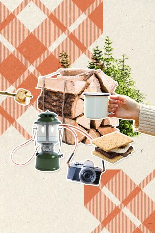 camping equipment, firewood, trees