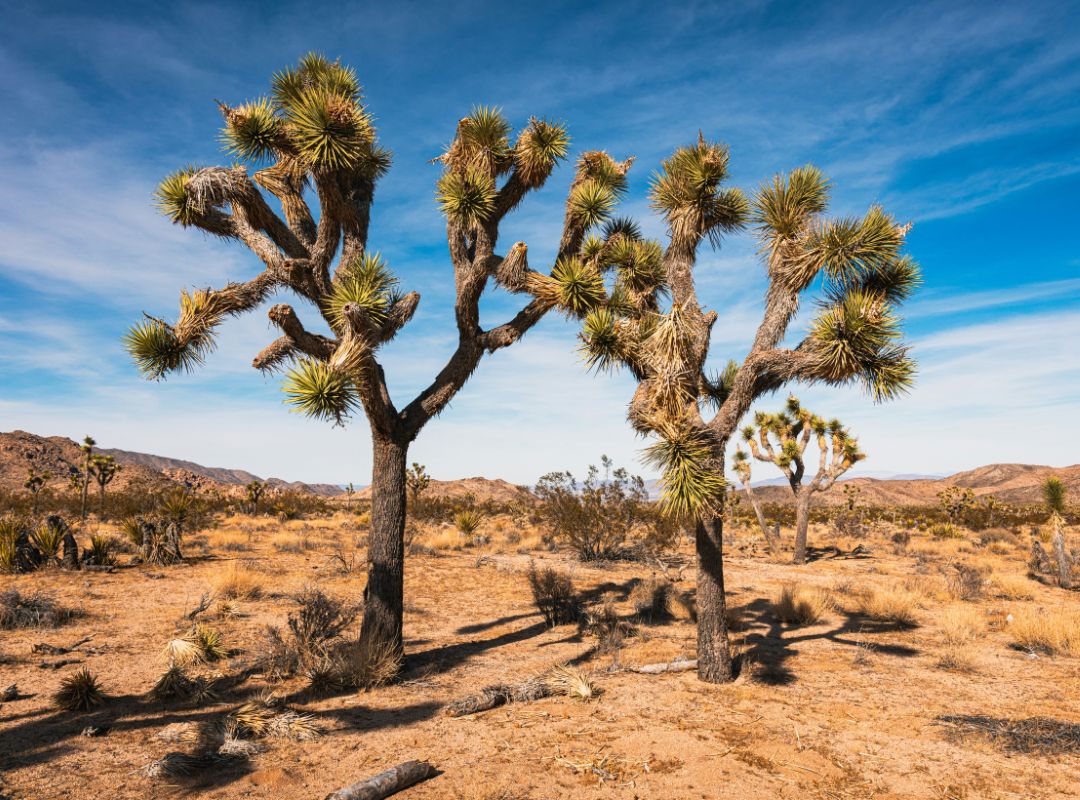 west coast destinations