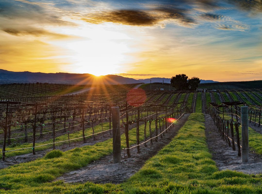 west coast destinations