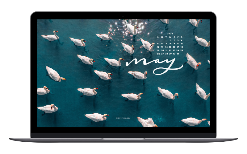 may-tech-backgrounds