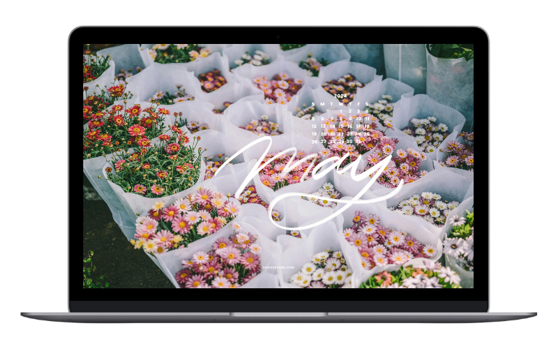 may-tech-backgrounds